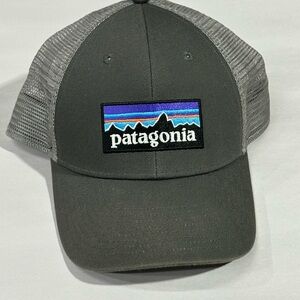 Patagonia P-6 Logo LoPro Trucker Hat